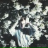 Momus