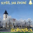 Šohajka