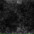 Sard