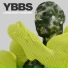 Ybbs