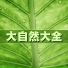 森林和谐