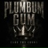 Plumbum gum