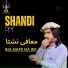 Shandi Gul