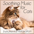 RelaxMyCat, Cat Music Dreams