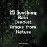 SleepTherapy, Ruído branco, Natural Samples
