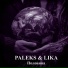 PALEKS, LIKA