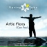 Artie Flexs