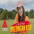 Dini Kurnia
