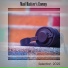 Gianluigi Toso