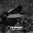 DESMIND