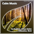 Instrumental, Meditation, Wellness
