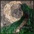 Phlux Ascent