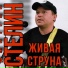 Дмитрий Стелин