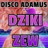 Disco Adamus
