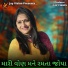 Viren Prajapati, Abhita Patel
