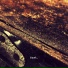 dust.