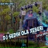 DJ Miko Putra