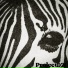 ProjectD 21