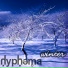 Hyphema
