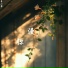 季小零