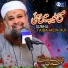 Owais Raza Qadri