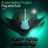 Pulse Nation Project