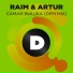 RaiM, Артур, DFM