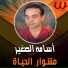 Osama El Soghayar