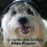 Aldo Rayon