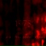 1337, beautifuldeath, Locura