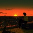 Sunset Kid