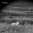 Crake