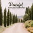 Calming Piano Music Collection
