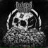 Darkness Divided