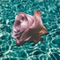 Marcus Alland