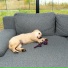 The Sleepy Sounds