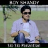 Boy Shandy