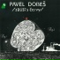 Pavel Dobeš