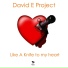 David E Project