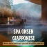 Onsen Doane