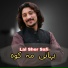 Lal Sher Safi