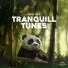 Panda Chill, Panda Lofi, Panda Music