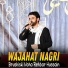 Wajahat Nagri