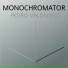 Pedro Valdivieso