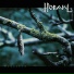 Horakl