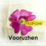 NaFoxe