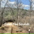 Celestial Sounds