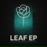 Adam Beyer