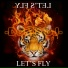 Domy DJ