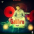 Harvi